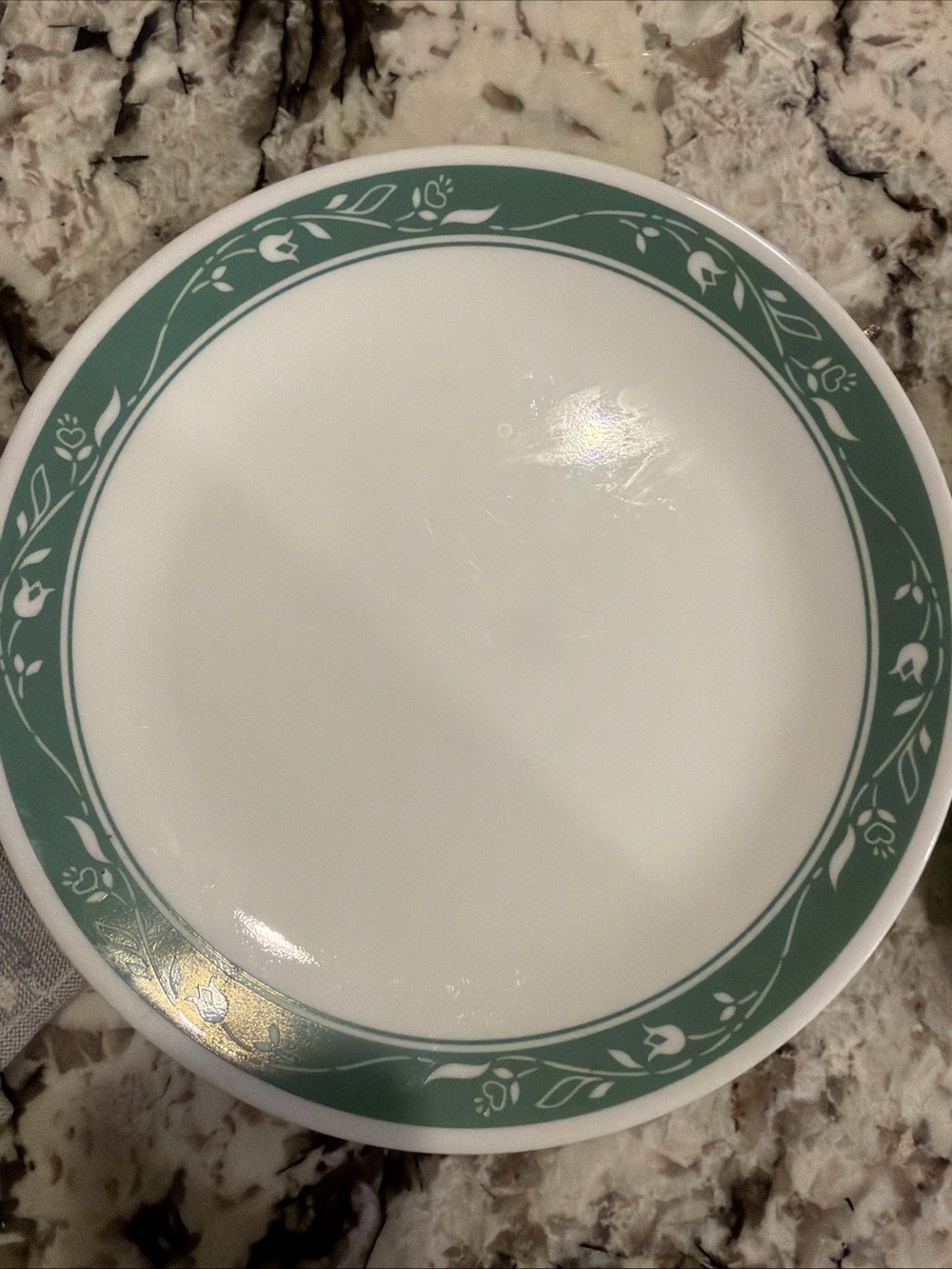 Vintage Corelle "Liza" Green Floral 10.25" Dinner Plate Qty 5
